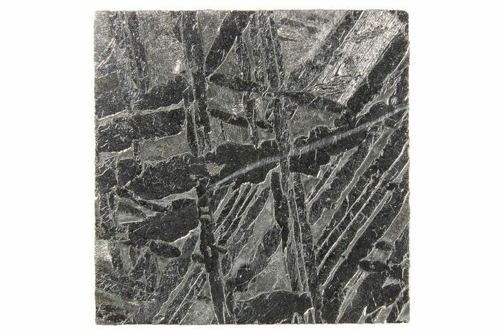 Aletai Iron Meteorite Slice ( g) - Xinjiang, China #263165